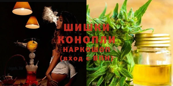 дживик Балахна